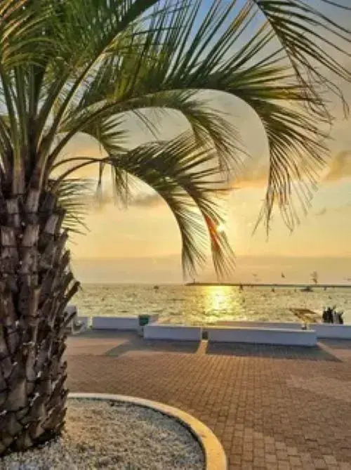 Фотография квартиры Апартаменты Грин Парк 1