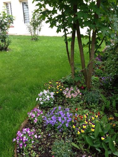 Фотография гостевого дома Les Gites Douillets de Sancerre