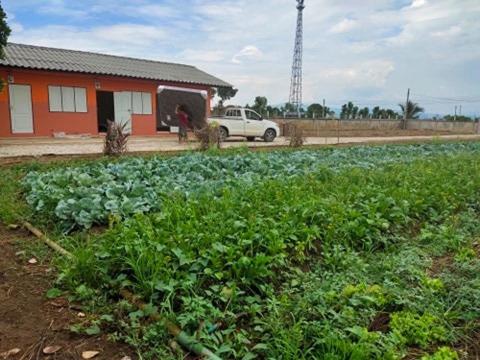 Фотография базы отдыха ทองอุไร โฮมสเตย์