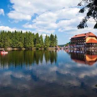 Фотографии гостиницы
Berghotel Mummelsee