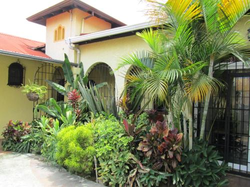 Фотография мини отеля Hotel Casa 69