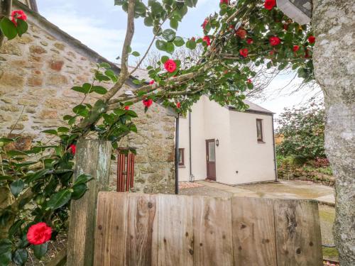 Фотографии гостевого дома
Camellia Cottage