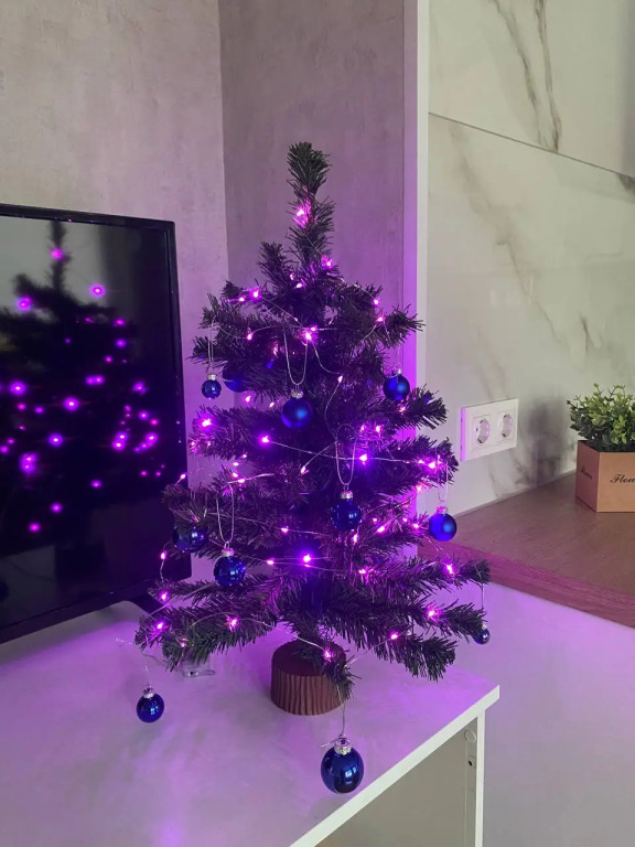 Фотография квартиры Апартаменты Apart Petroskoi