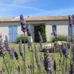 Фотографии гостевого дома
Les Lavandes