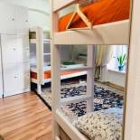 Фотография хостела Tree House