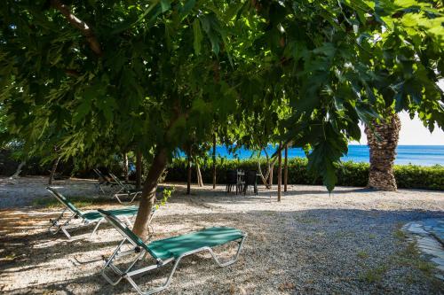 Фотография гостевого дома Beach House East