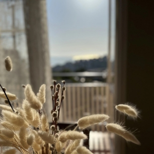 Фотография квартиры Апартаменты в центре Сочи