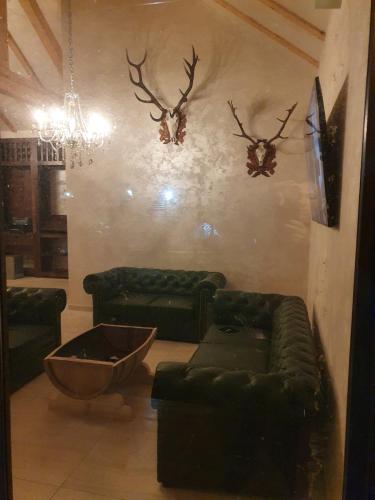 Фотографии мини отеля
Imperator Kvintil apartmani & SPA