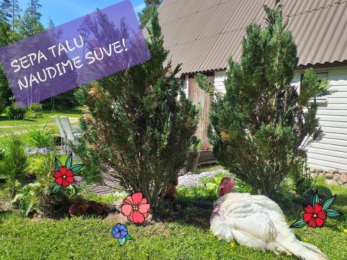 Фотография гостевого дома Sepa Talu