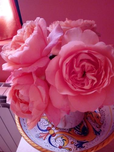 Фотография мини отеля B&b La Camelia