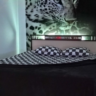 Фотография квартиры Апартаменты Октябрьская 37Б