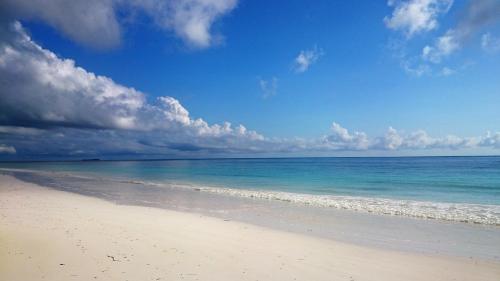 Фотография гостиницы Mchanga Zanzibar