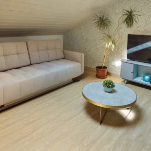 Фотография квартиры Апартаменты На Панской 3