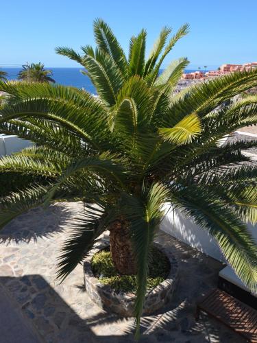 Фотография гостевого дома Casa La Palmera