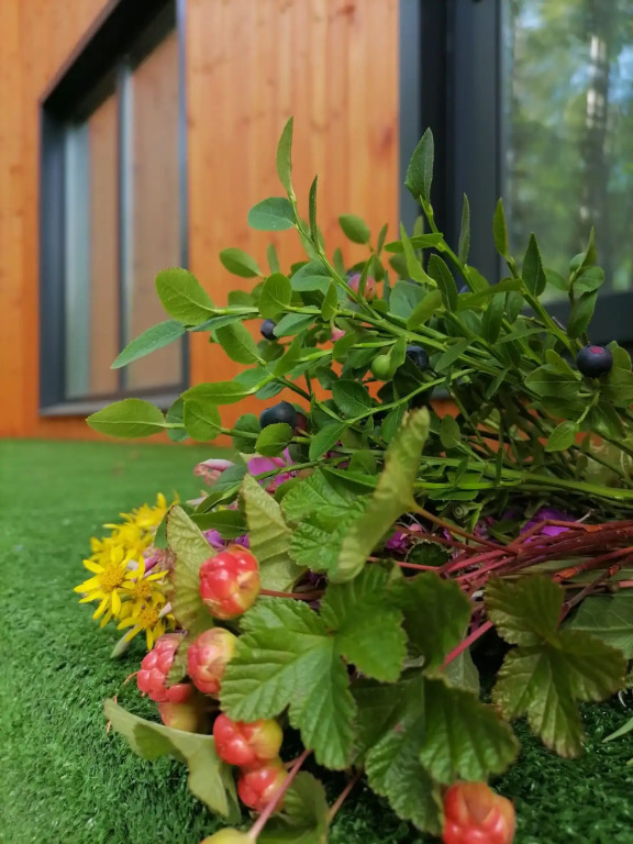 Фотография Коттеджа Частный дом на Ленина 43