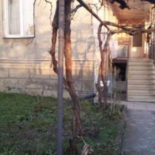 Фотография гостевого дома Ана