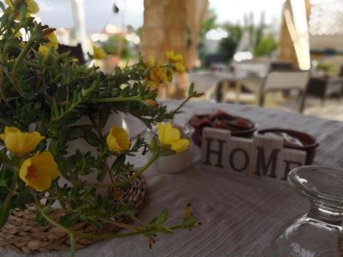 Фотография мини отеля Li Brilli