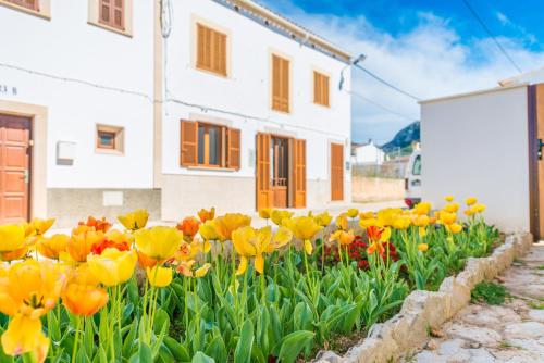 Фотография гостевого дома Vila Ca Shermano