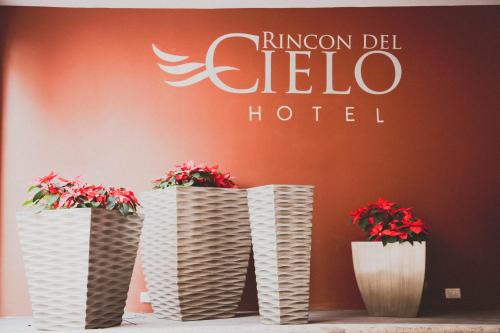 Фотографии гостиницы 
            Hotel Rincon del Cielo