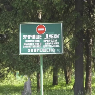 Фотография достопримечательности Урочище Дубки