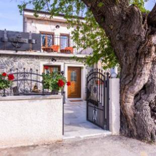 Фотографии гостевого дома 
            Villa Mulberry