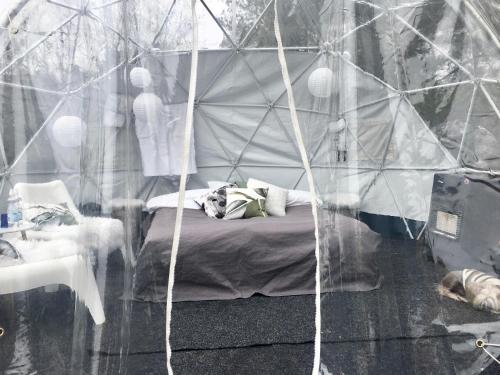 Фотография базы отдыха FinnDome