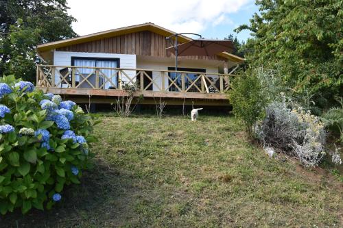 Фотография гостевого дома La Casita Amarilla