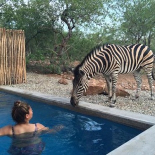 Фотография гостевого дома Nextdoor Kruger