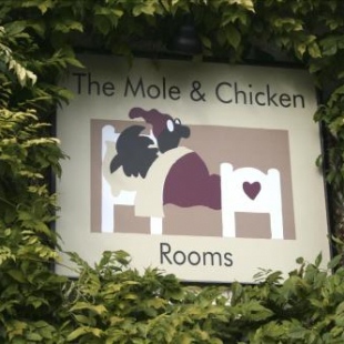 Фотография гостиницы The Mole and Chicken