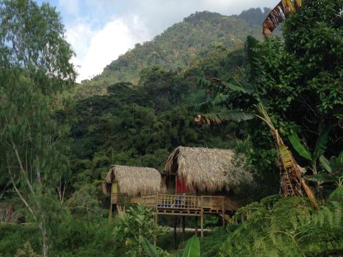 Фотография базы отдыха Miradores Del Oso Perezoso