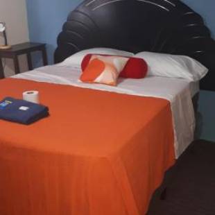 Фотография гостиницы hotel kasa kamelot 2