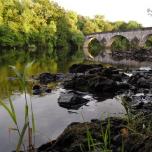 Фотография мини отеля The Haven B&B