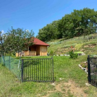 Фотография гостевого дома Etno kuća Mladenović