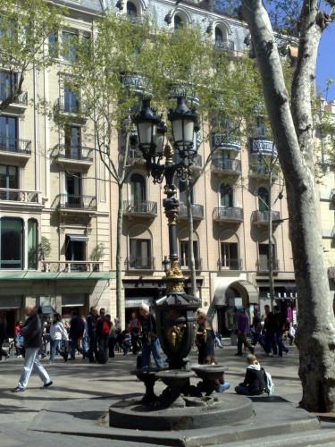 Фотография гостевого дома Hostal Capitol Ramblas