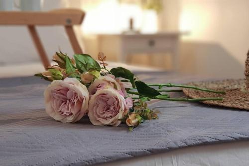 Фотография гостевого дома Camara House, Antiparos