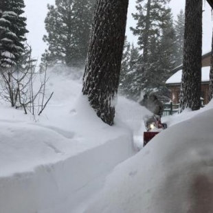 Фотография гостевого дома Mountainback #45, Den