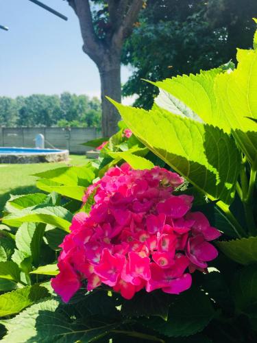 Фотография мини отеля B&B dalLo Zio