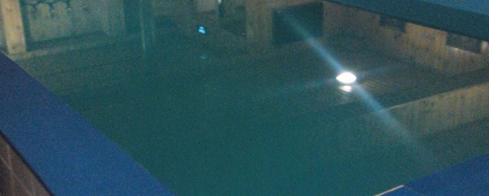 Фотографии сауны 
            Пионер