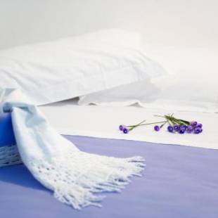 Фотографии мини отеля 
            Palazzo Boscareto