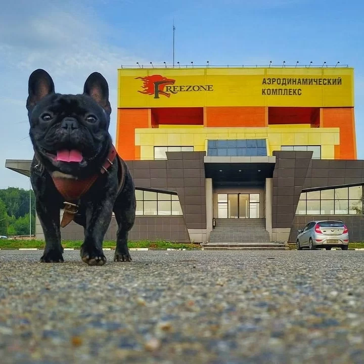 Фотография гостиницы Freezone