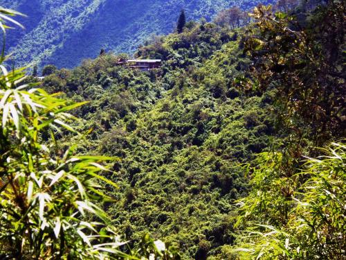 Фотография мини отеля Finca Petrona