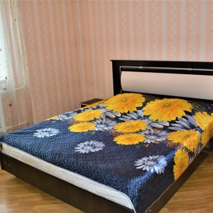 Фотография квартиры Апартаменты на Наугорском шоссе 76