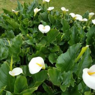 Фотографии гостевого дома 
            Le Gîte d'en Bas