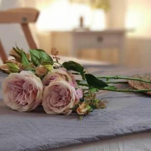 Фотографии гостевого дома
Camara House, Antiparos