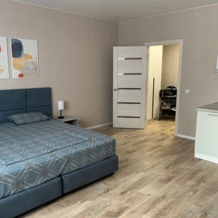 Фотография квартиры Апартаменты на улице Подзолкова