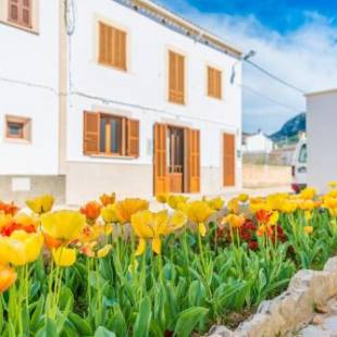 Фотографии гостевого дома
Vila Ca Shermano