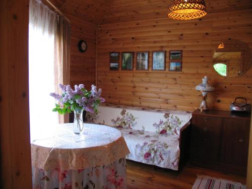 Фотографии гостевого дома 
            Деревня Калищи