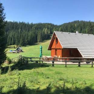 Фотографии гостевого дома
Cosy Chalet on Pokljuka - Brunarica Tinkara