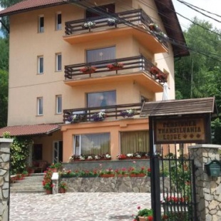 Фотография гостевого дома Pensiunea Transilvania Lodge