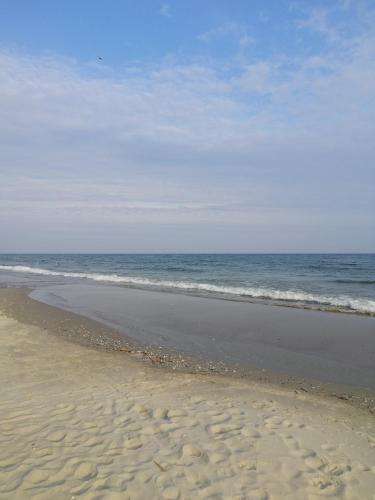 Фотографии гостиницы
Нектарин